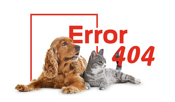 Purina Brand 404