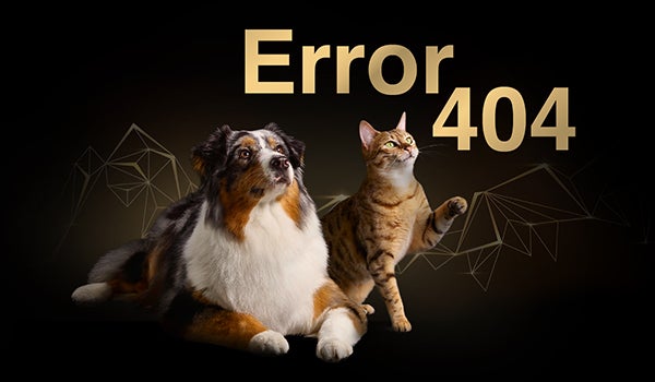 Proplan Error 404