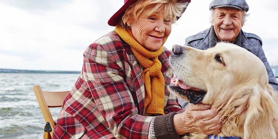 Pareja de ancianos junto a un labrador, raza de perros ideal para adultos mayores.