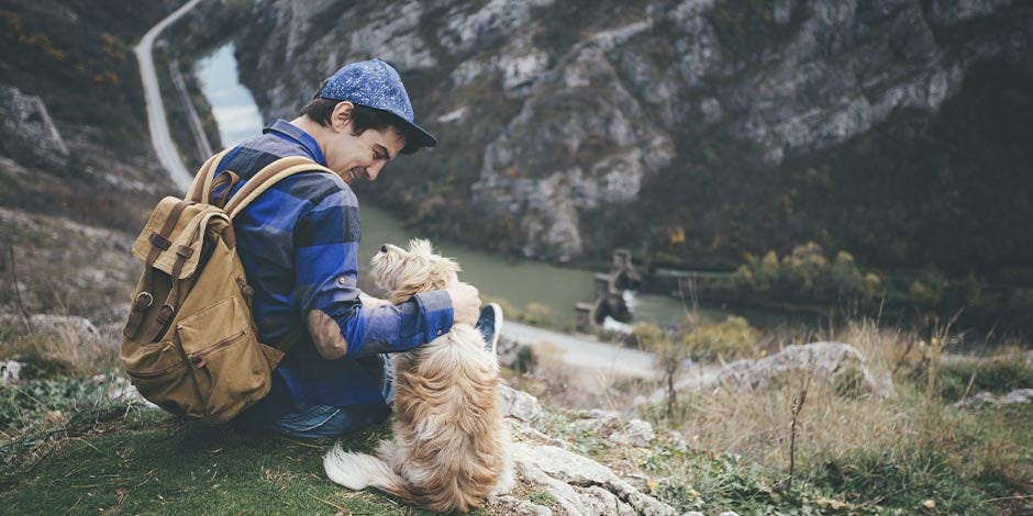 Los perros pueden comer mango y les aporta vitaminas para su bienestar. Perro de aventura con su tutor.