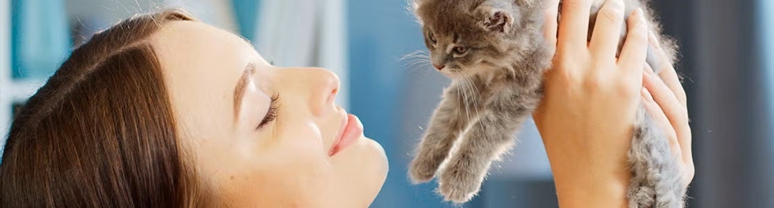 Mujer sosteniendo un gatito gris. Gatos en adopción.