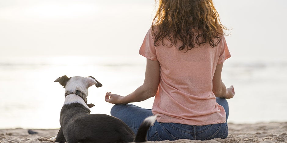 Tutora meditando en la playa junto a su mascota. Saber por qué aúllan los perros ayudará a saber cómo actuar.