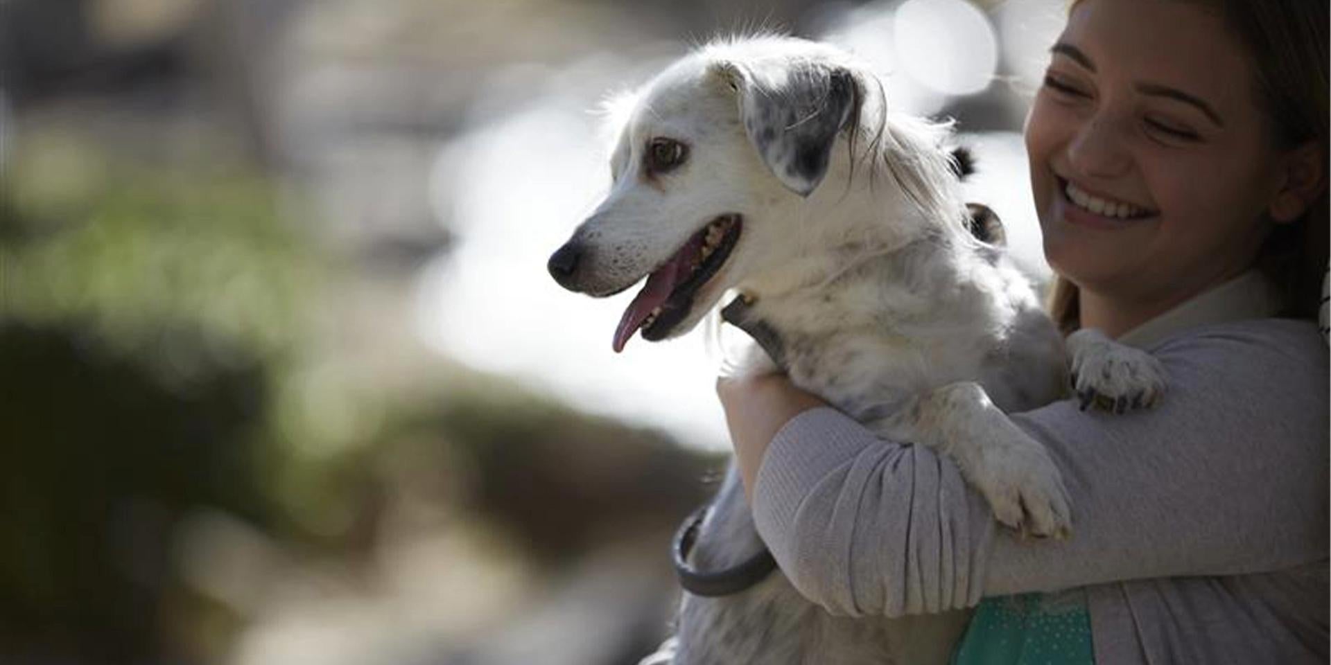 Los perros van al cielo. Tutora abrazando a su beagle. 