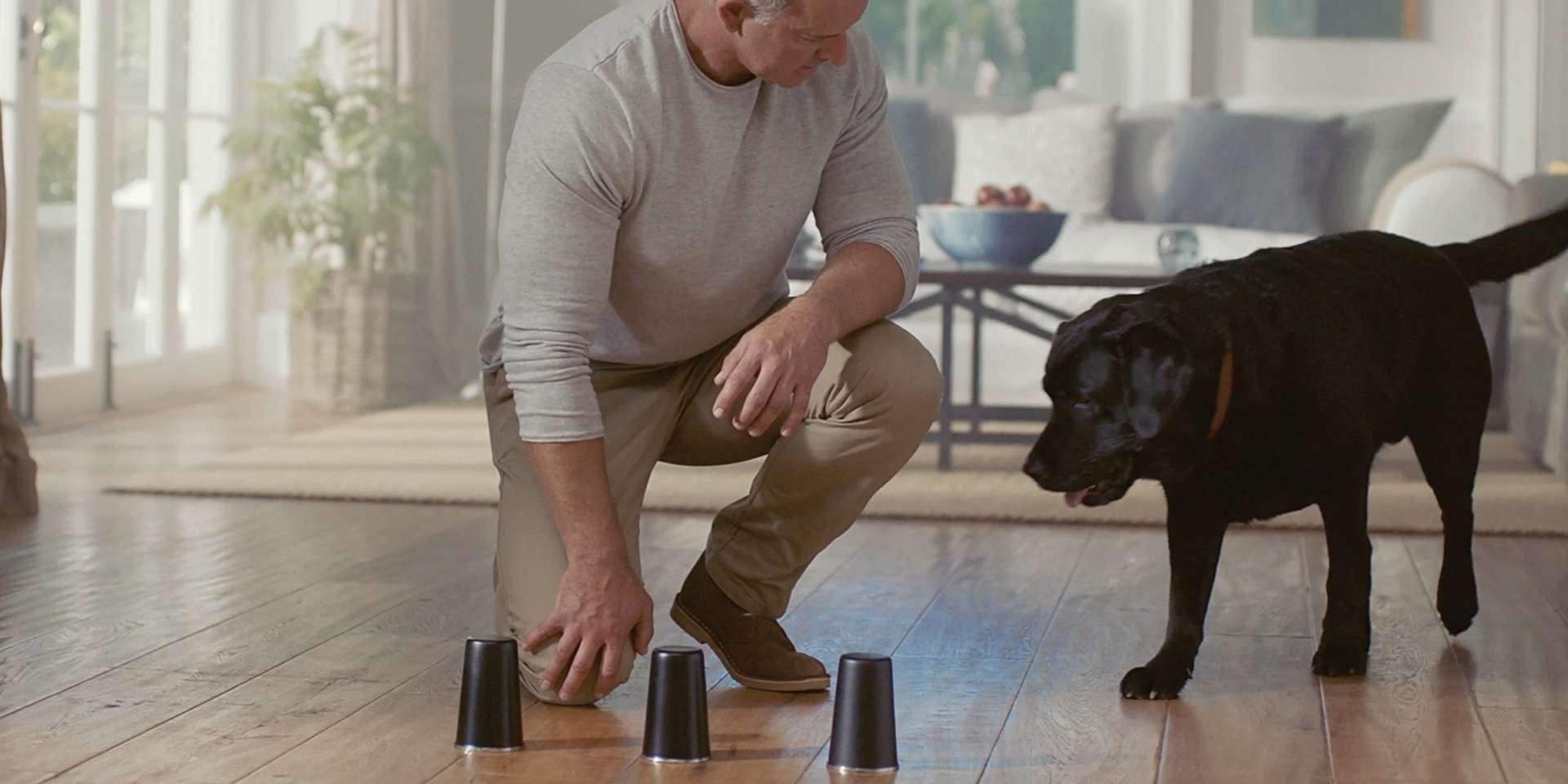 purina-perro-rescatista