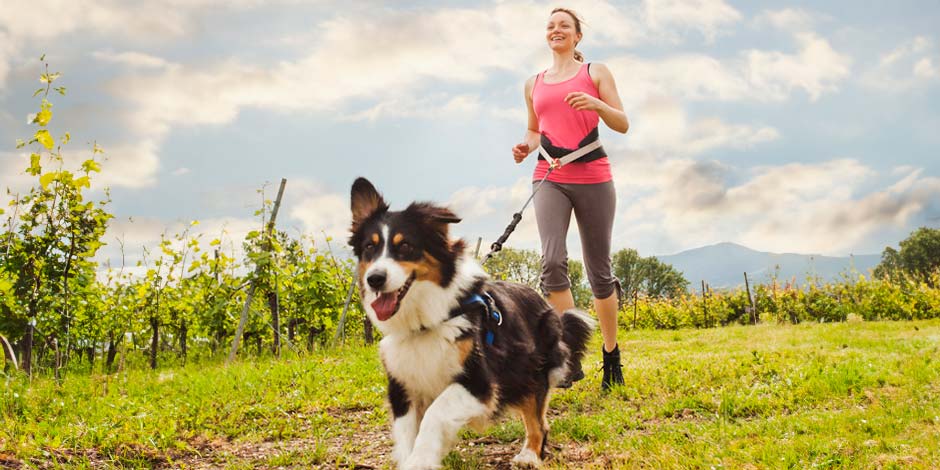 El ejercicio es una gran manera de prevenir el sobrepeso en perros. Border collie corriendo con su tutora.