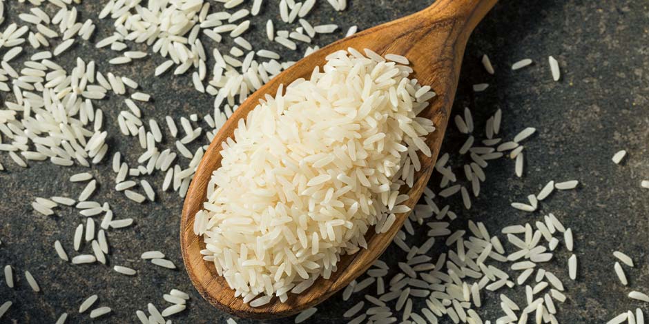 Los perros pueden comer arroz. Mira los aportes y consideraciones de cada tipo: integral o blanco.