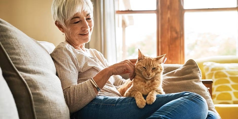Alimentos para gatos con problemas renales. Tutora y gato senior.