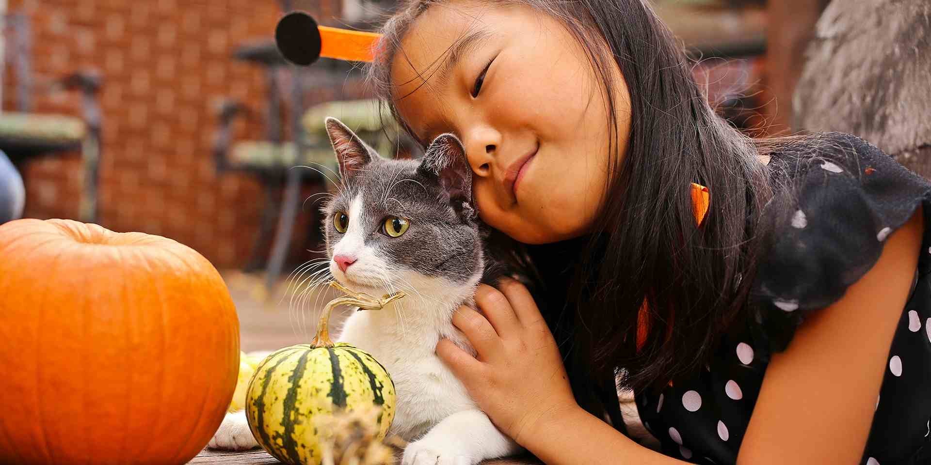 Pocas cosas son tan importantes para la convivencia en casa como educar a un gato. Niña junto a su michi.