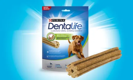 dentalife-perro-grande.png.webp?itok=CN5ThL4F