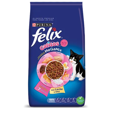 gatitos_megamix_felix.png.webp?itok=WdH6-o0C