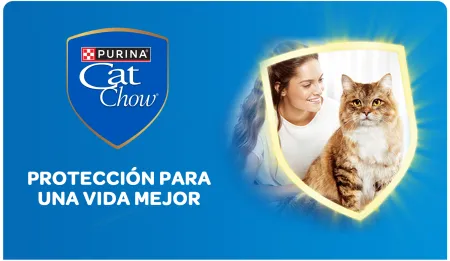 Cta-CatChow.png.webp?itok=isHGWwOU