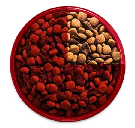 purina-one-transicion-alimento-bowl-1.png.webp?itok=sQ82WJdm