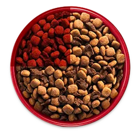 purina-one-transicion-alimento-bowl-3.png.webp?itok=fdiZyY_X