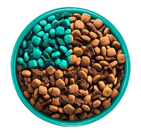 purina-one-transicion-alimento-bowl-3_0.png.webp?itok=AciTOWMY