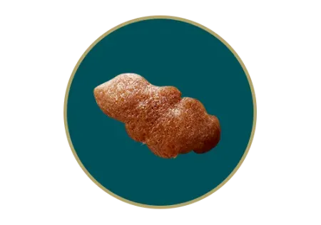 DT_Seleccion_Nuggets.png.webp?itok=E3bntk9t