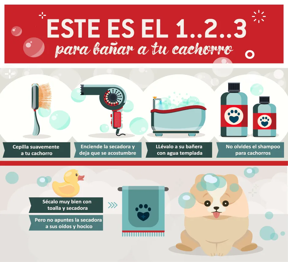 Infografía que te enseña cómo bañar a un perro.