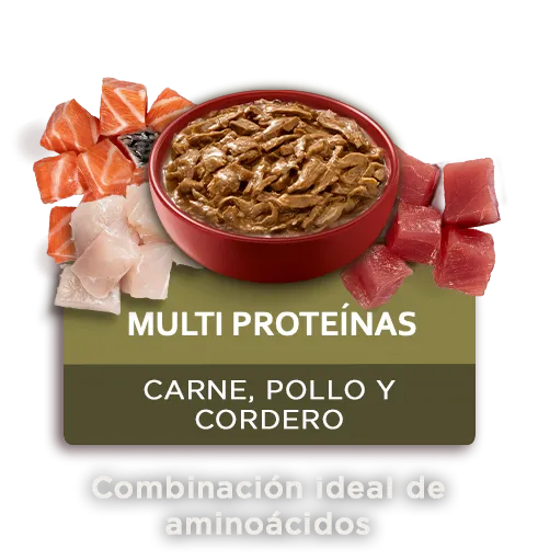 purina-one-multi-proteinas-perros.png