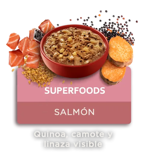 purina-one-superfoods-perros.png