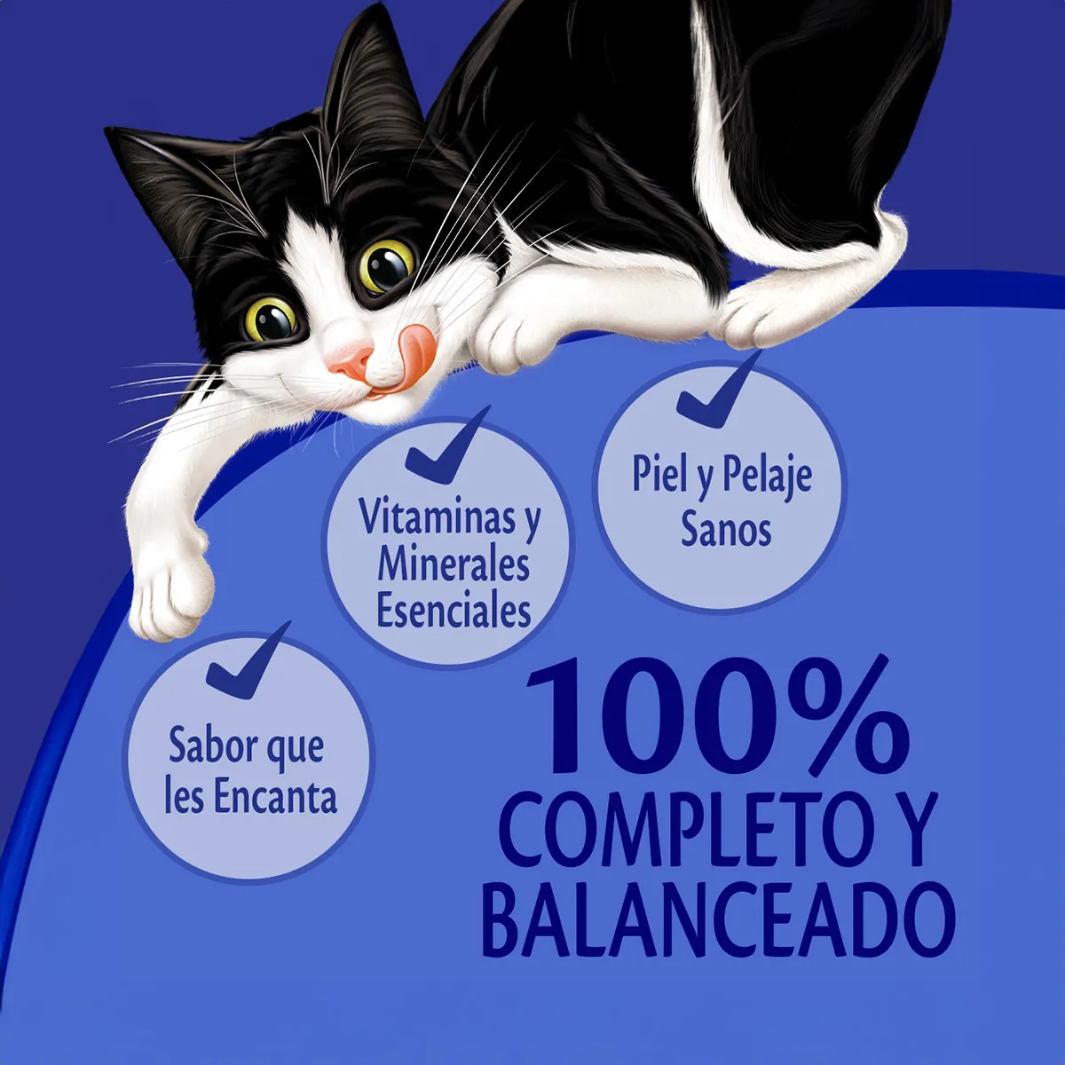 comida para gato felix gatitos sabor carne