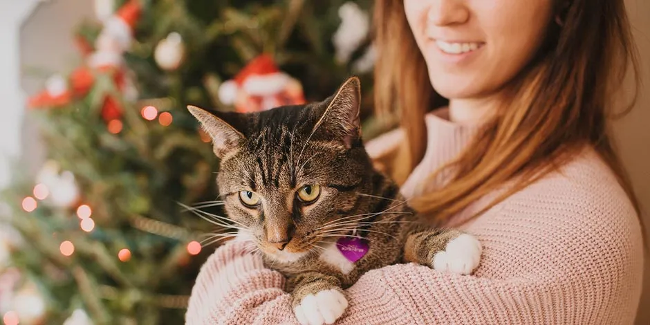 Aprender cómo ayudar a calmar a tu mascota de los fuegos artificiales le dará paz en tiempos de festividades, y de paso, a ti también.