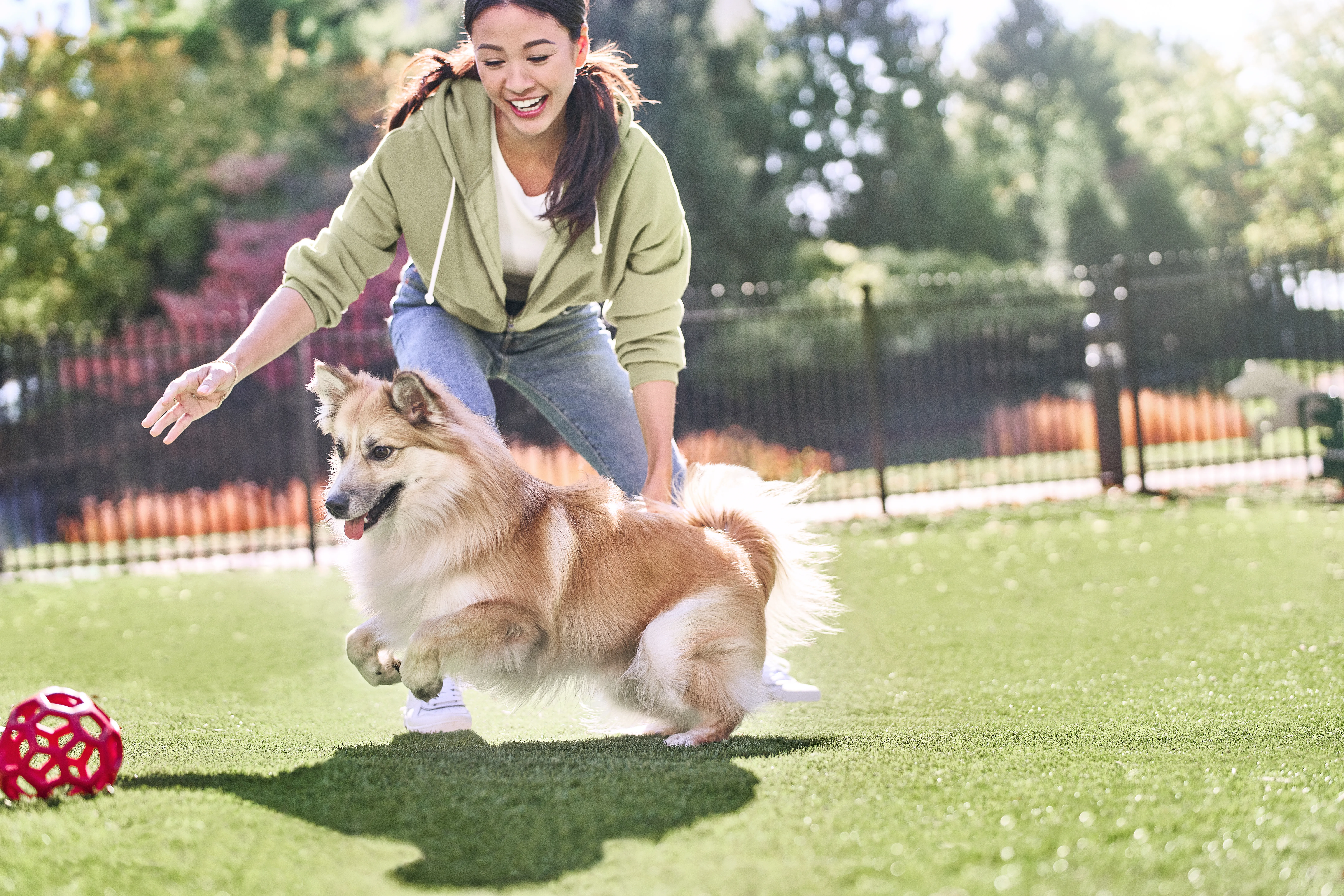 Aprende cómo cuidar a un perro senior, como esta tutora con su mascota, y disfruten juntos al máximo.