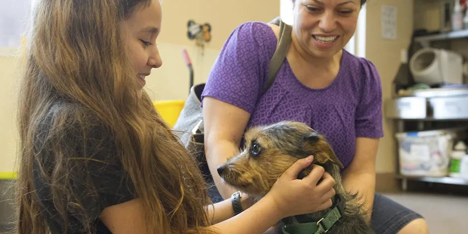 Familia acompañada por su mascota, uno de los más importantes beneficios de tener un perro.