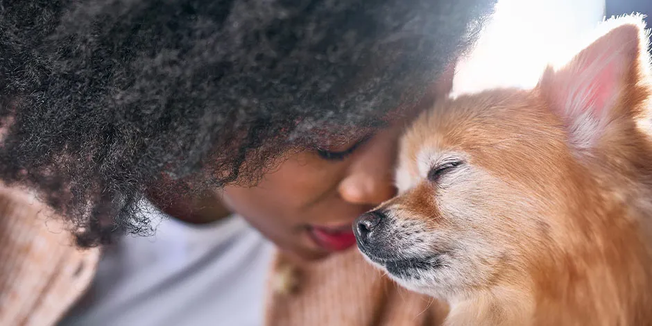 Una gran empatía hace parte de los beneficios de tener un perro. Mujer junto a chihuahua. 