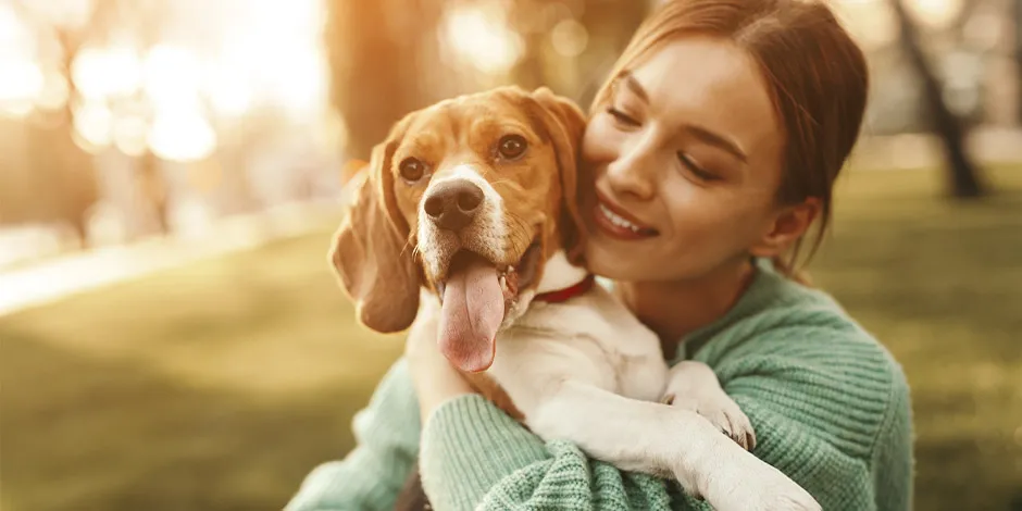 Cuidar las articulaciones del perro le dará bienestar. Beagle junto a su tutora.