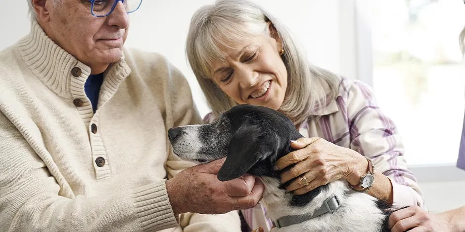 Pareja junto a su mascota longeva. ¿Qué comen los perros senior?